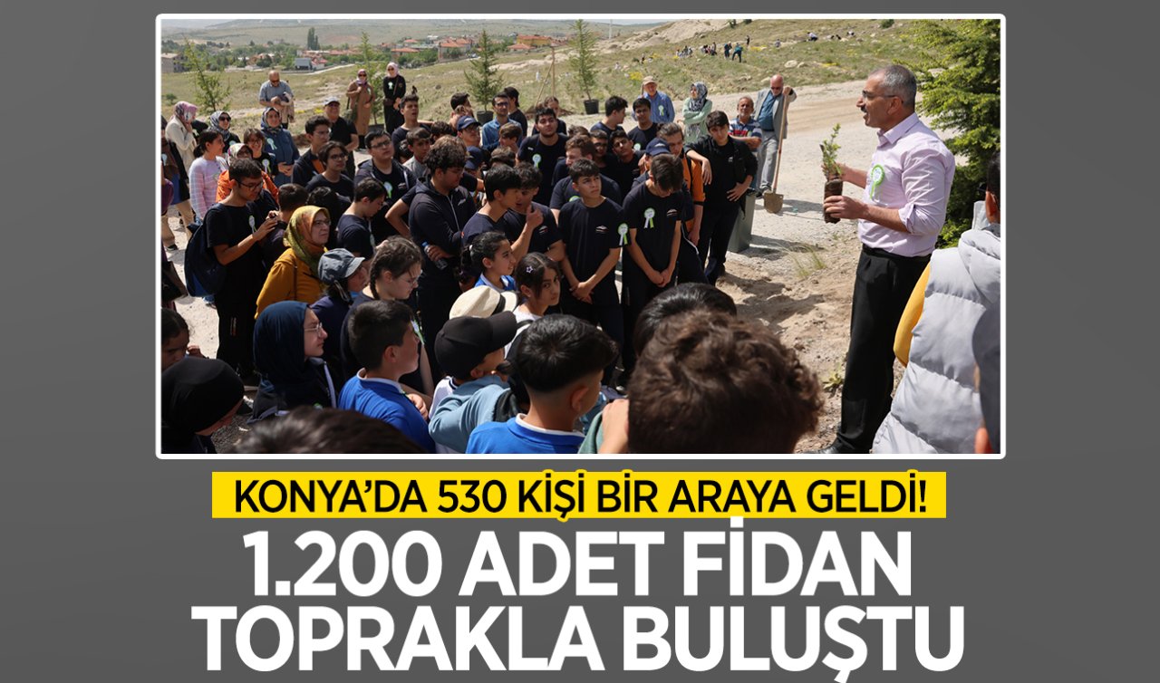 Konya’da 530 çevre gönüllüsü toplandı! 1.200 adet fidan toprakla buluştu