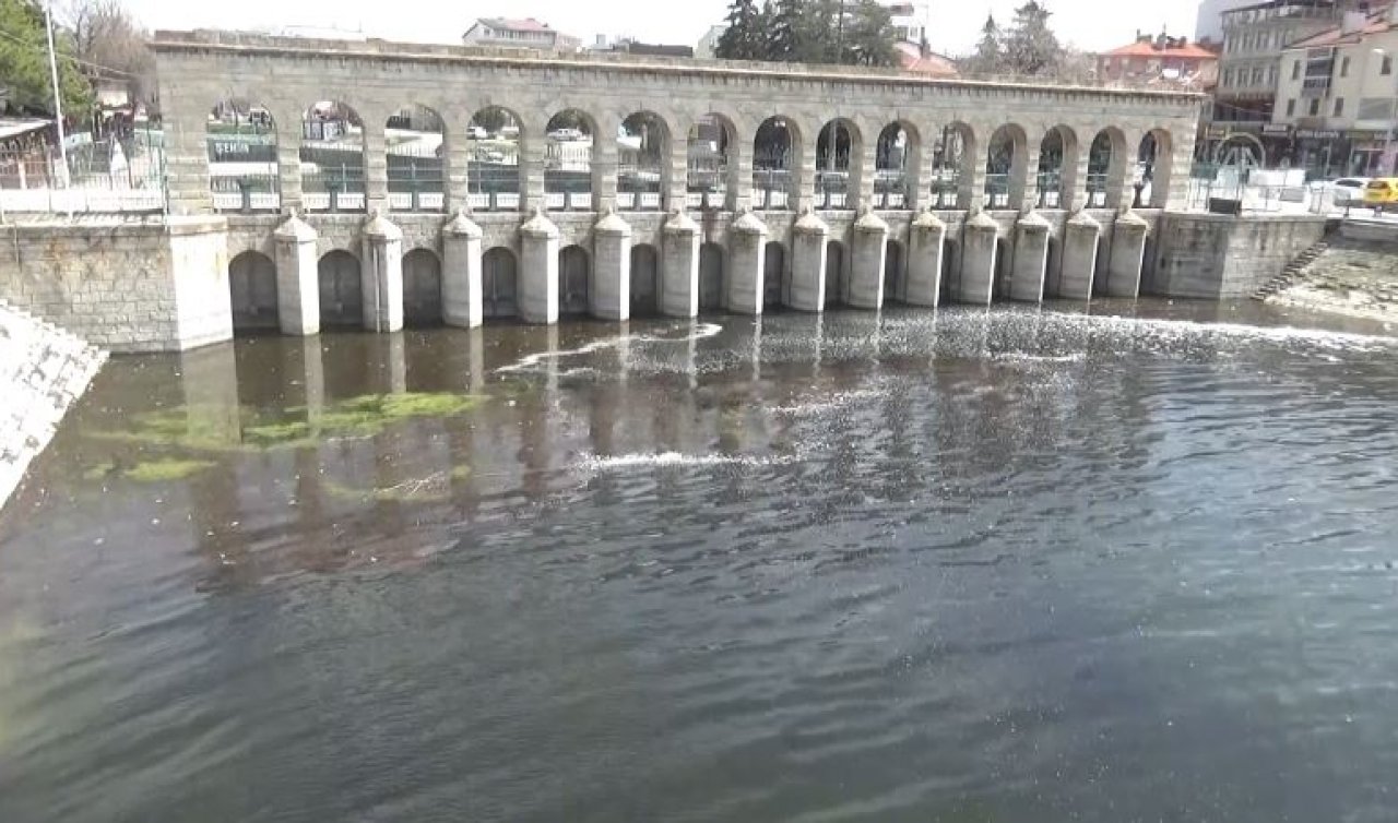 Konya’da üreme mevsimi nedeniyle yavru balıklar göl yüzeyini kapladı 