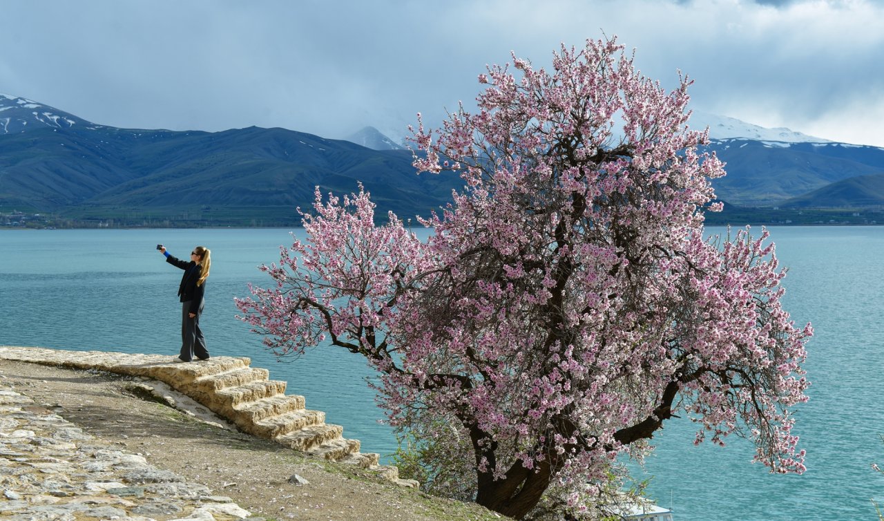  Akdamar Adası baharın renklerine büründü