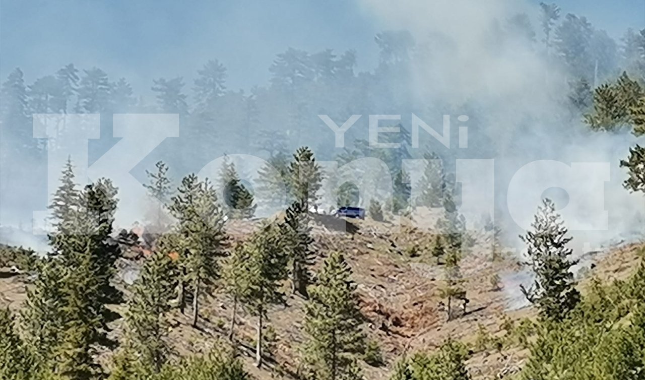 Seydişehir-Antalya yolunda yangın!  1 hektar alan yandı