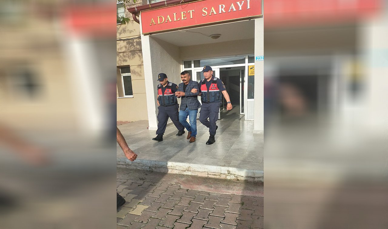  Konya’da 2 büyükbaş çalındı! Hayvanları bulan jandarma şok oldu! 