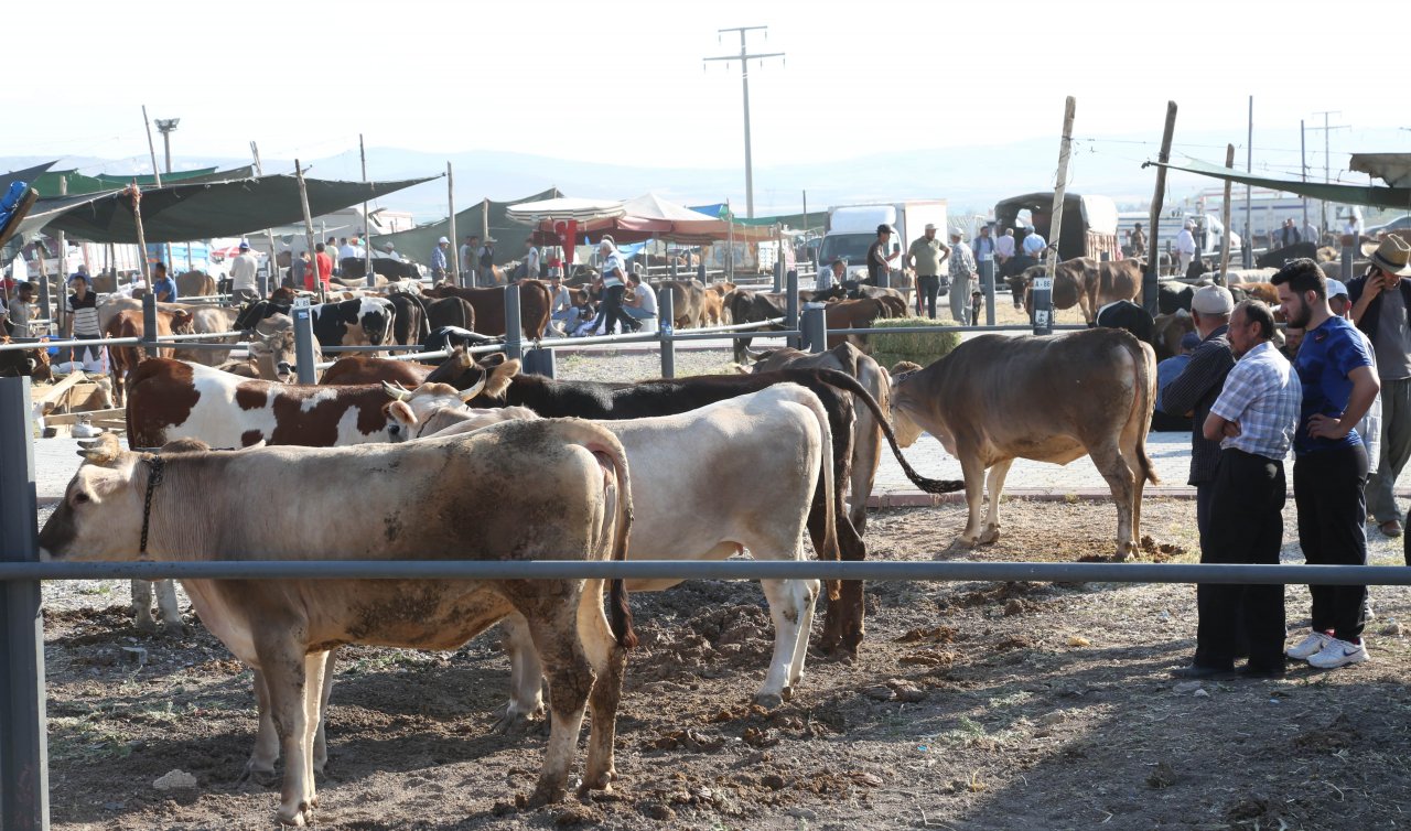  Konya’daki kurban pazarları ne zaman açılacak?  