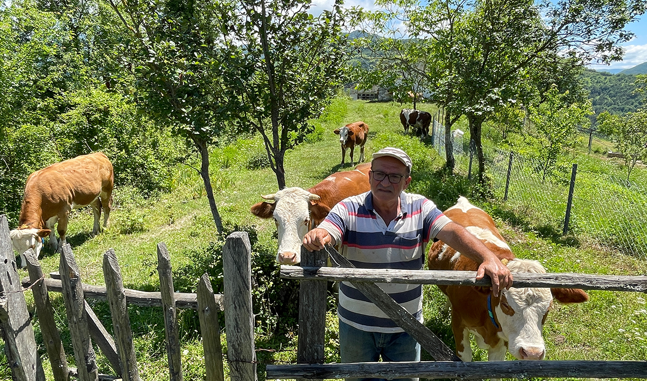  Kurban öncesi şap tehlikesi! Bir il daha karantinaya alındı