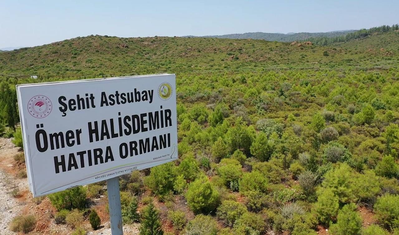  15 Temmuz şehitlerinin anısı hatıra ormanlarında yaşıyor