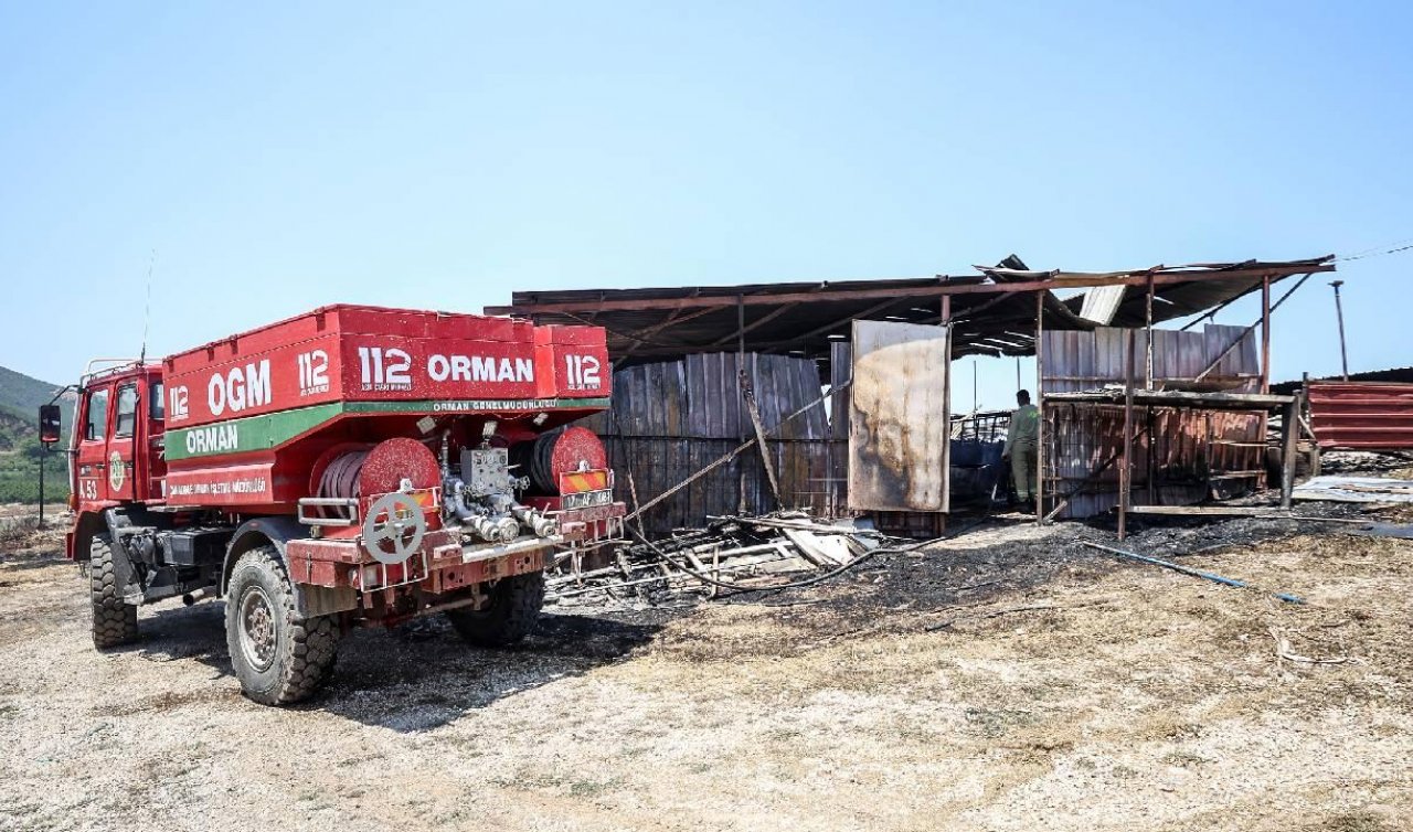  2 dakikada alev topuna döndü!  31 hayvan telef oldu