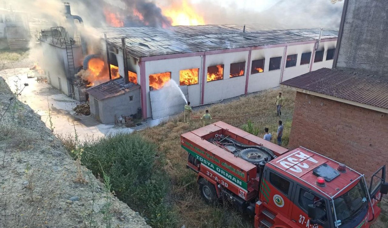  Kapı fabrikasında yangın