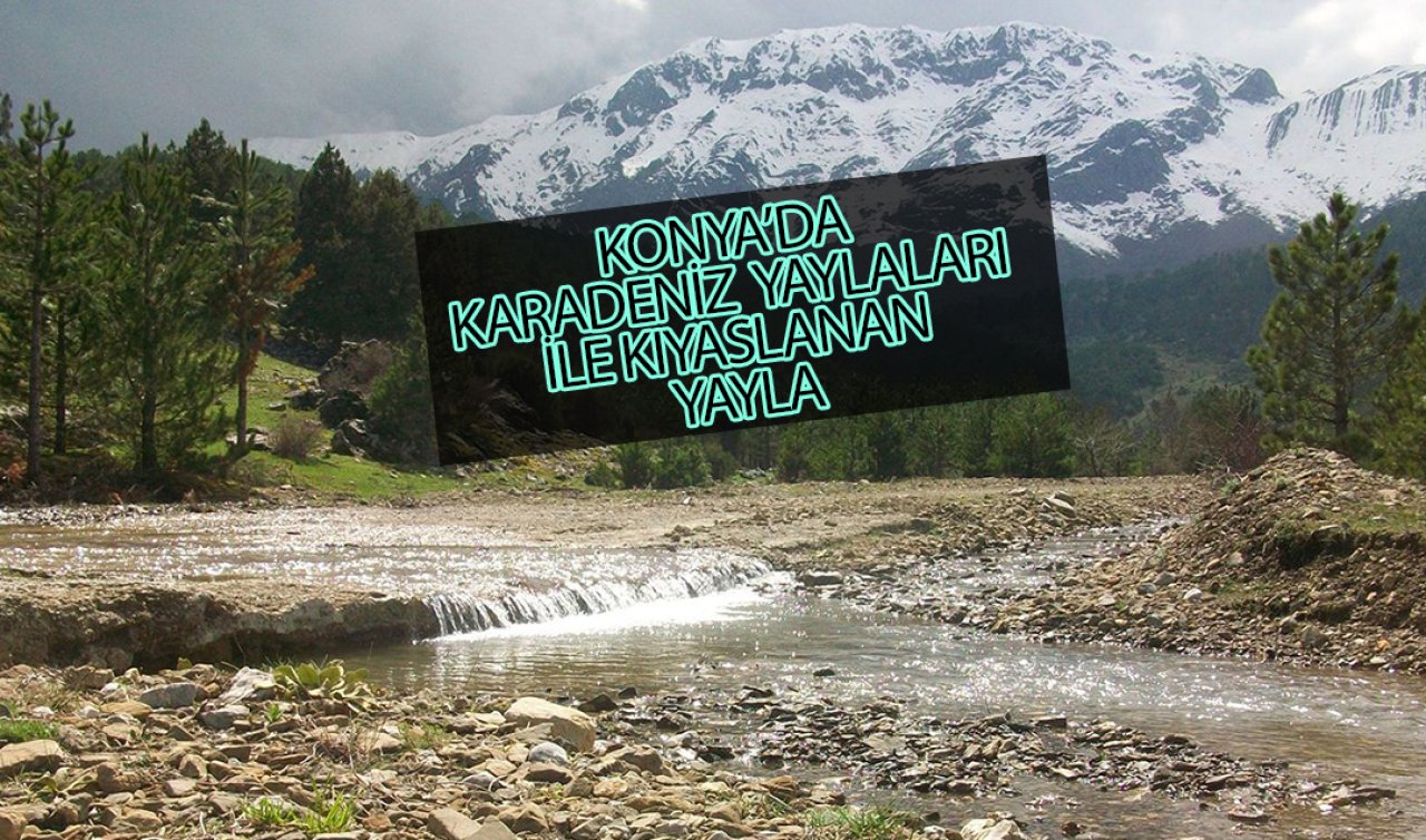  Konya’da Karadeniz yaylalarını kıskandıracak Anamas yaylaları