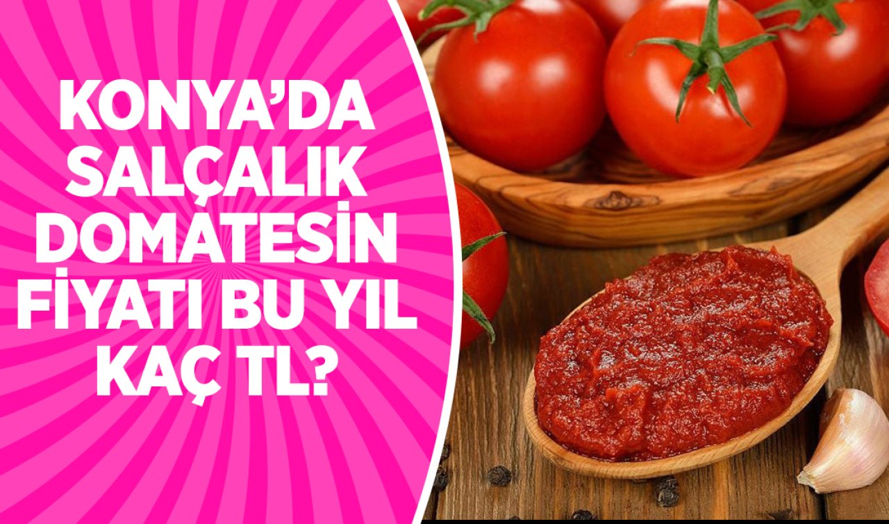  Konya’da salçalık domatesin fiyatı belli oldu!