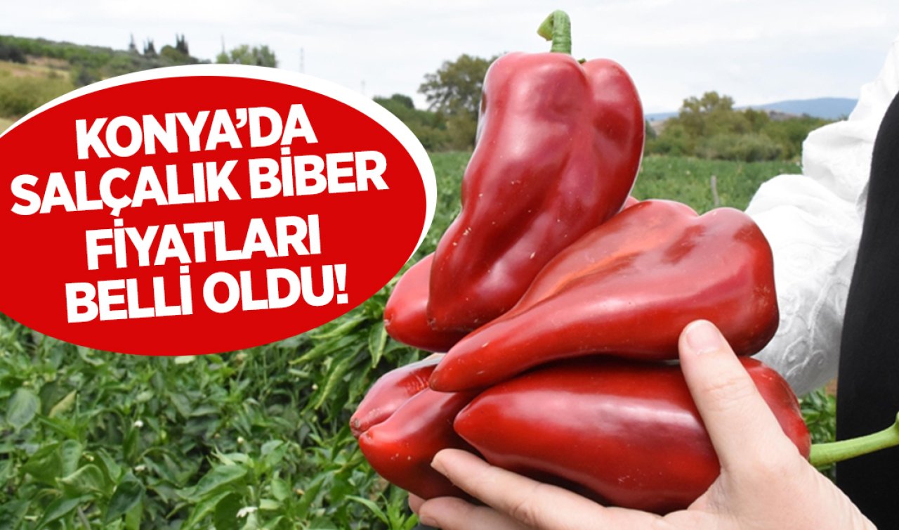 Konya’da salçalık biberin fiyatı belli oldu!