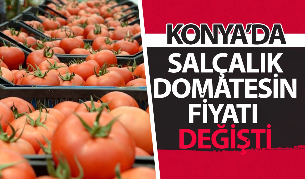  Konya’da salçalık domatesin fiyatı değişti!