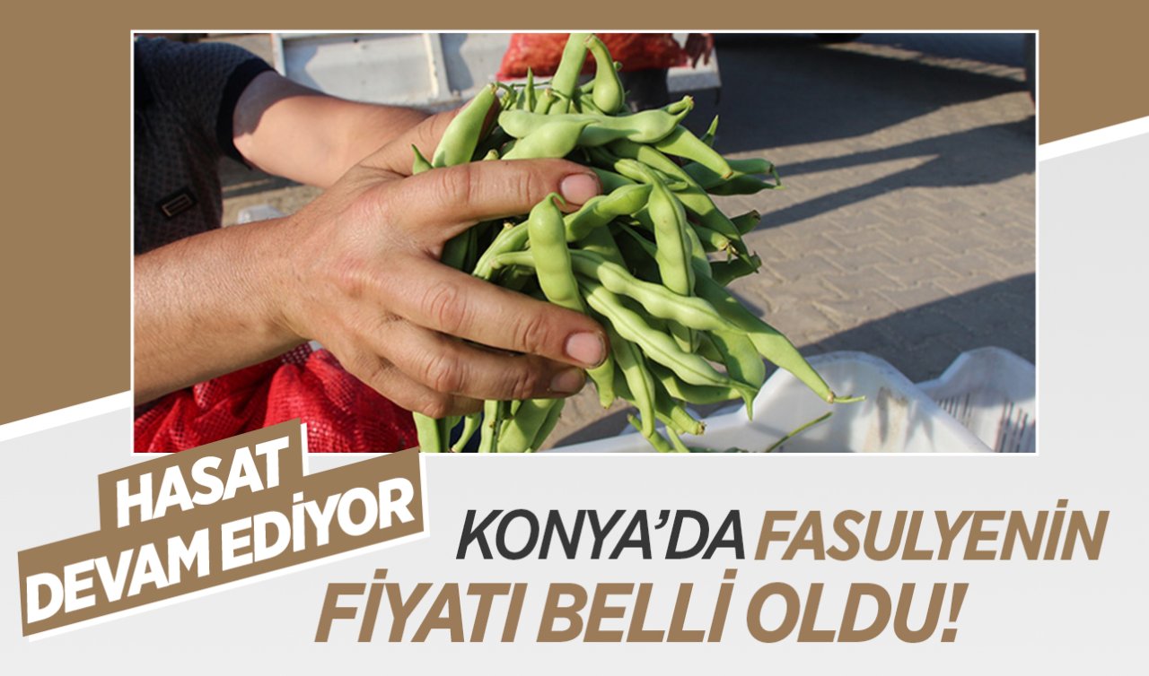  Konya’da fasulyenin kilosu belli oldu