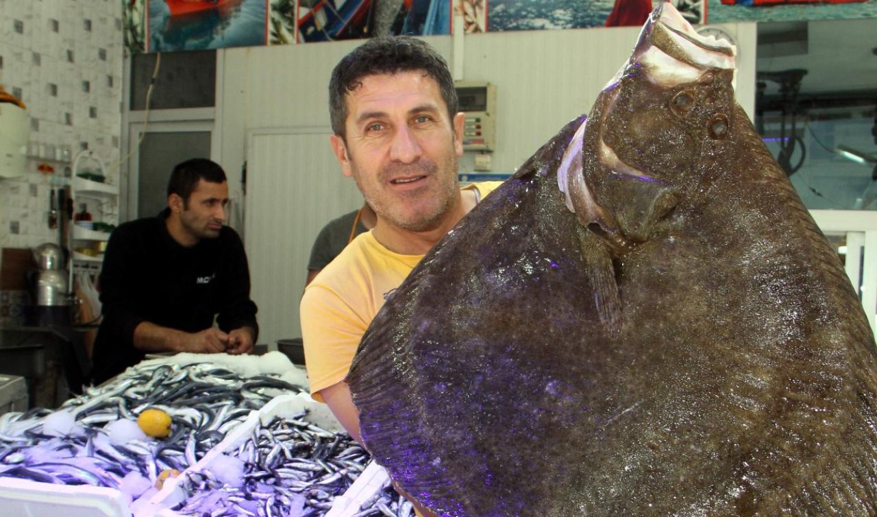  8,5 kilogram ağırlığındaki kalkan balığı ağlara takıldı