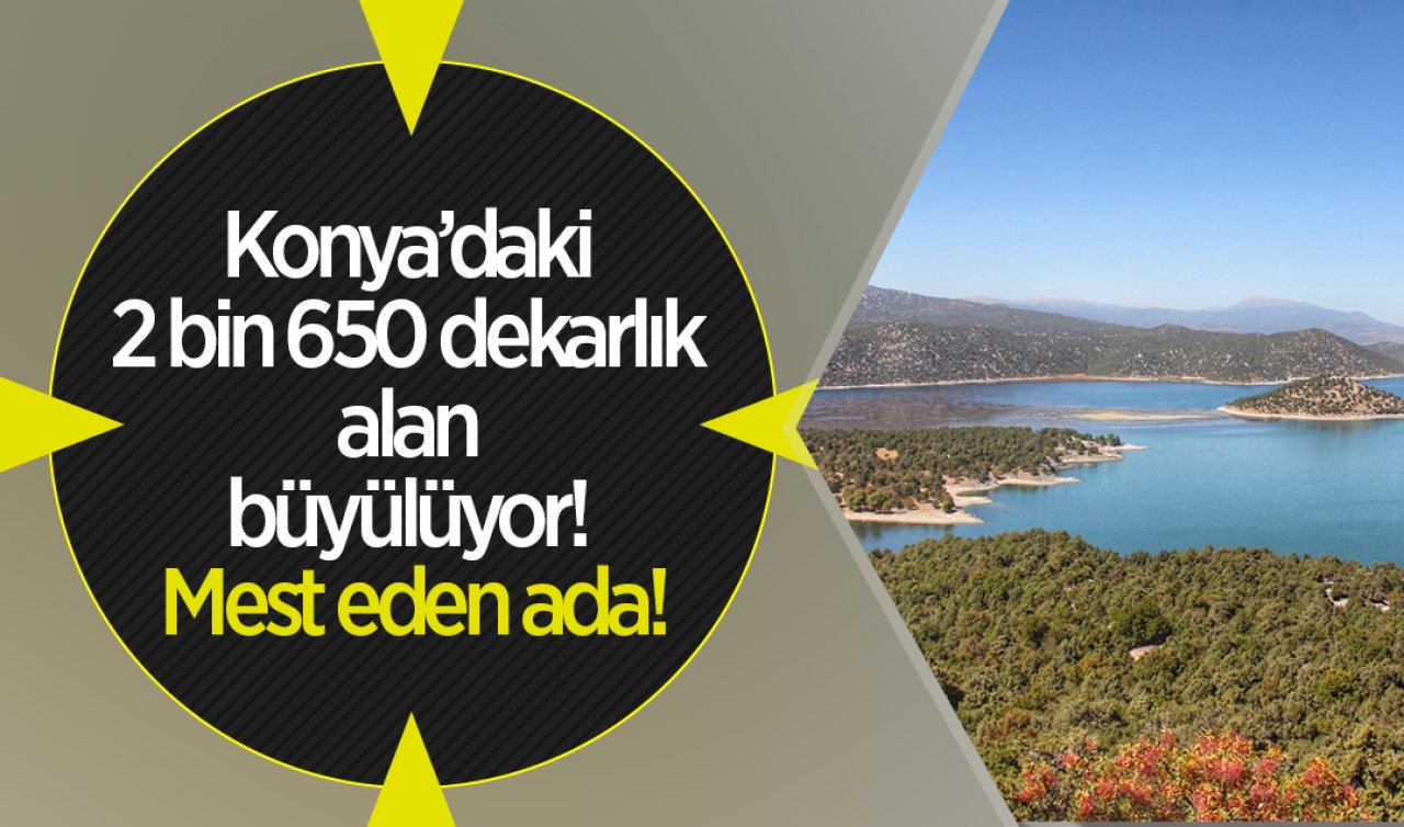  Konya’daki 2 bin 650 dekarlık alan büyülüyor! Mest eden ada!