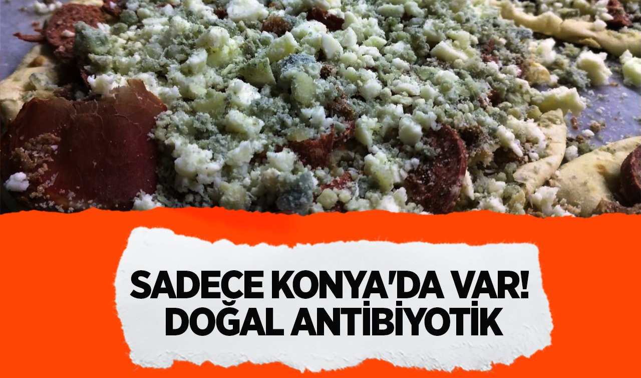  Sadece Konya’da var! Namı dünyaya yayılan doğal antibiyotik