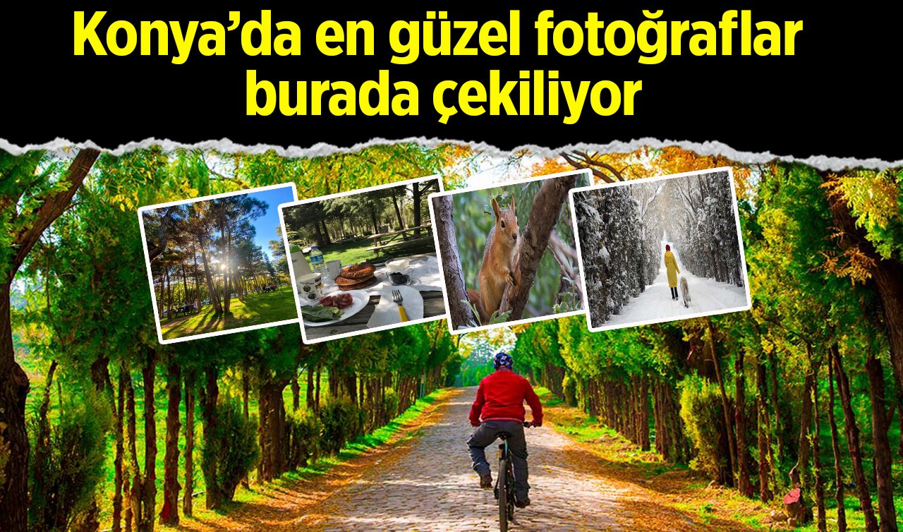 Konya’da fotoğraf çektirmek isteyenler buraya akın ediyor!  4 mevsim ayrı güzel