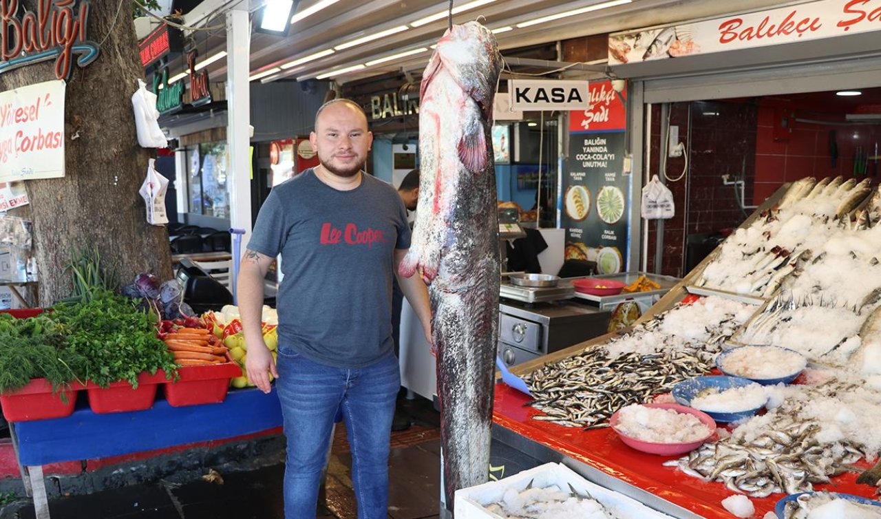  Yeşilırmak’ta 1,7 metrelik yayın balığı yakalandı