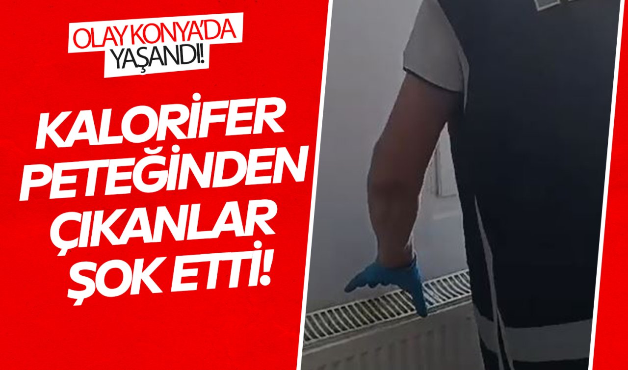  Konya’da yok artık dedirtecek olay! Kalorifer peteğinden çıkanlar şok etti 