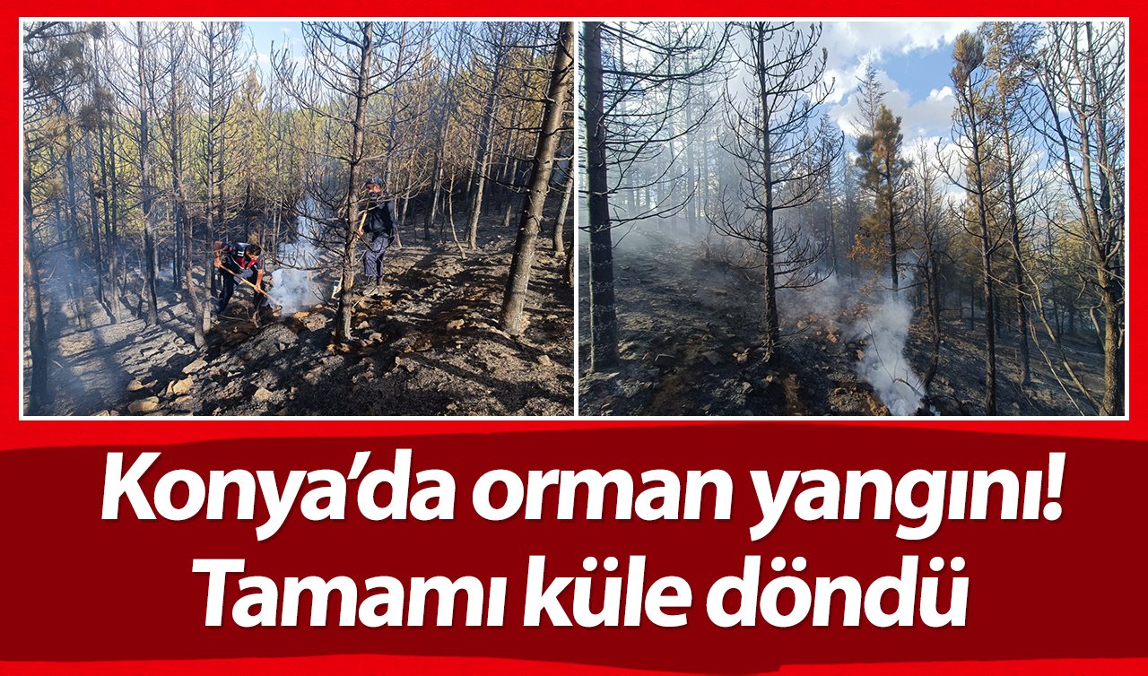  Konya’da orman yangını! Küle döndü