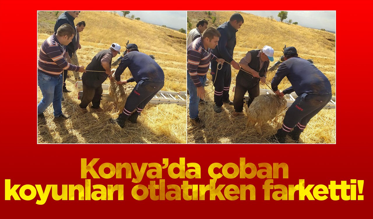  Konya’da çoban koyunları otlatırken farketti! İtfaiye ekipleri zorlukla kurtardı