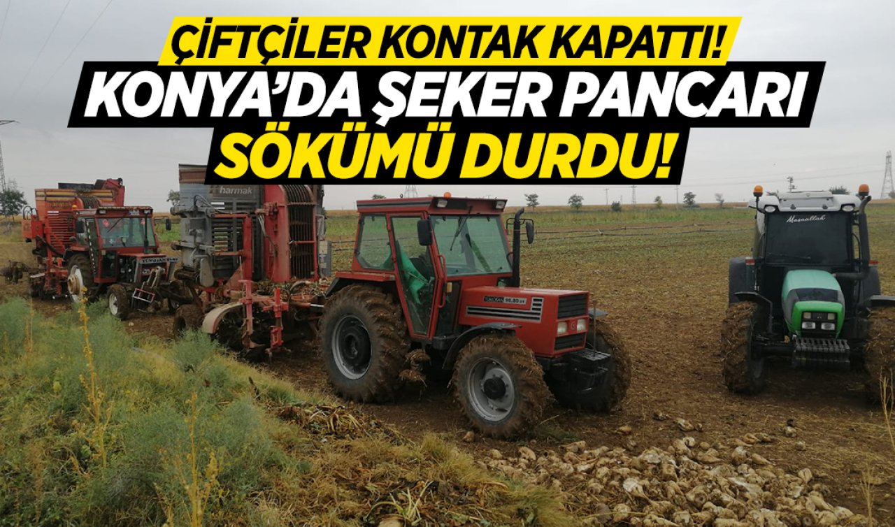  Konya’da çiftçiler kontak kapattı! Şeker pancarını neden sökmedikleri belli oldu! 