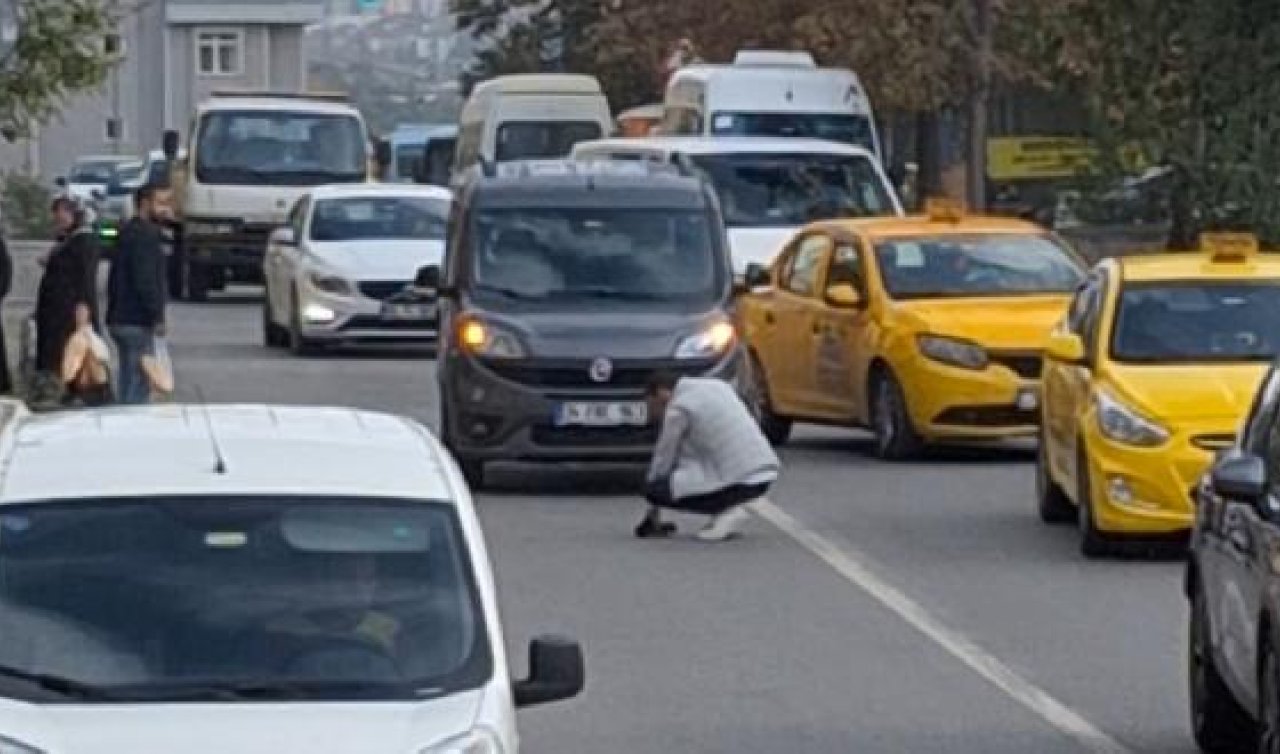  Trafiği durdurdu! Yaptığıyla herkesi şaşırttı