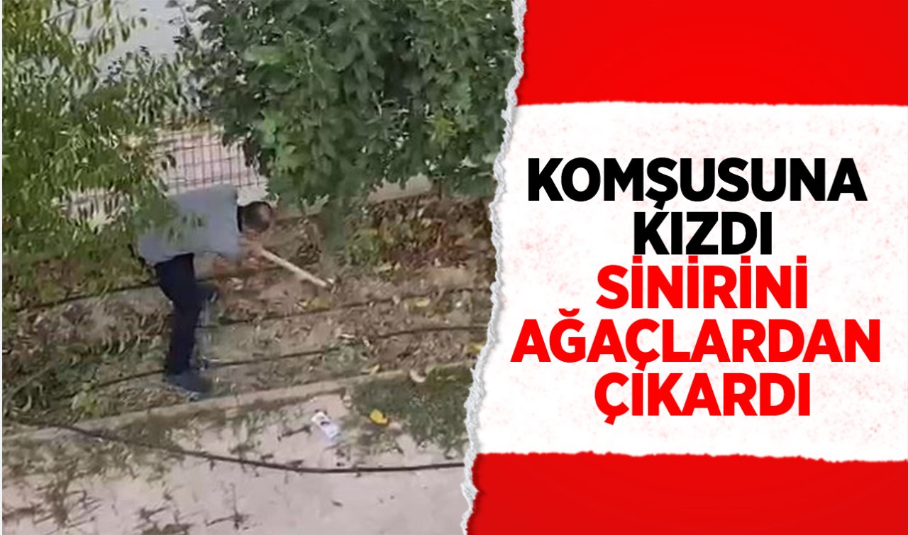  Konya’da akıl almaz olay! Komşusuna kızdı sinirini ağaçlardan çıkardı