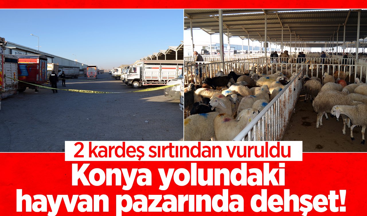  Konya yolundaki hayvan pazarında dehşet!  2 kardeş sırtından vuruldu 