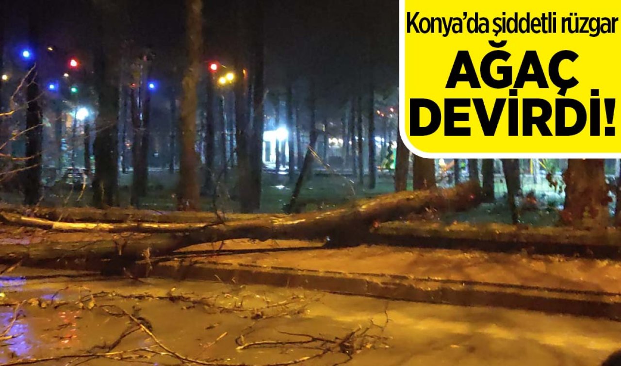  Konya’da şiddetli rüzgar ağaç devirdi