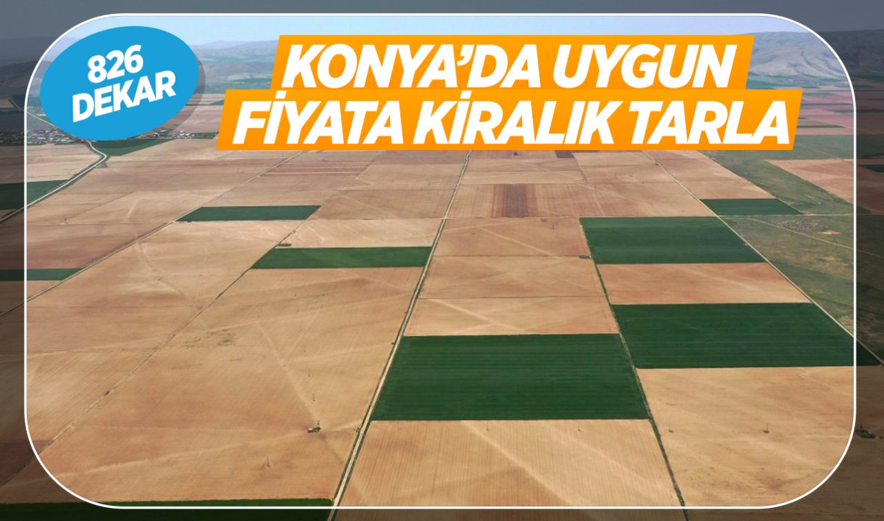  TİGEM Konya’daki 826 dekar araziyi uygun fiyata kiraya verecek