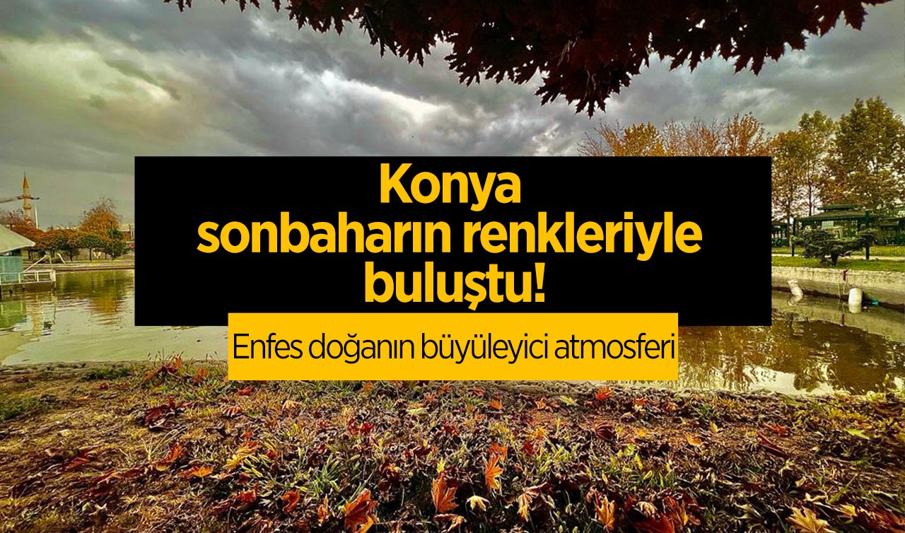  Konya sonbaharın renkleriyle buluştu! Enfes doğanın büyüleyici atmosferi