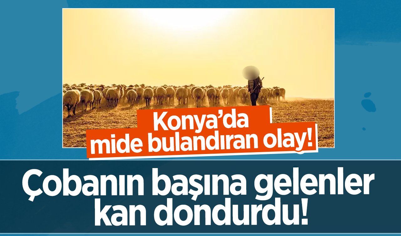  Konya’da mide bulandıran olay!  Çobanın başına gelenler kan dondurdu