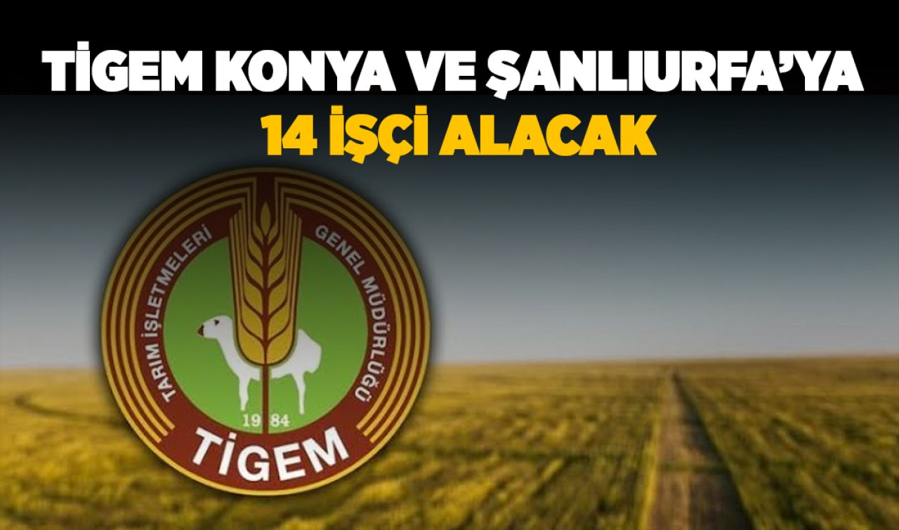  TİGEM Konya ve Şanlıurfa’ya 14 işçi alacak! Başvuru şartları belli oldu