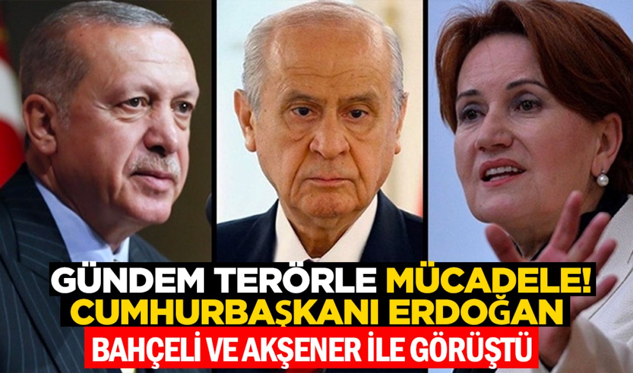  Cumhurbaşkanı Erdoğan, Bahçeli ve Akşener ile görüştü