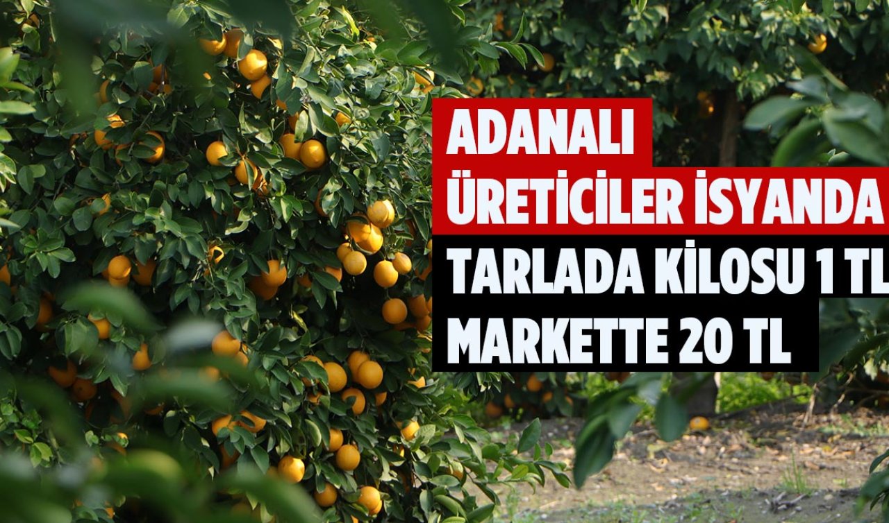  Adanalı üreticiler isyanda: Tarlada kilosu 1 TL, markette 20 TL