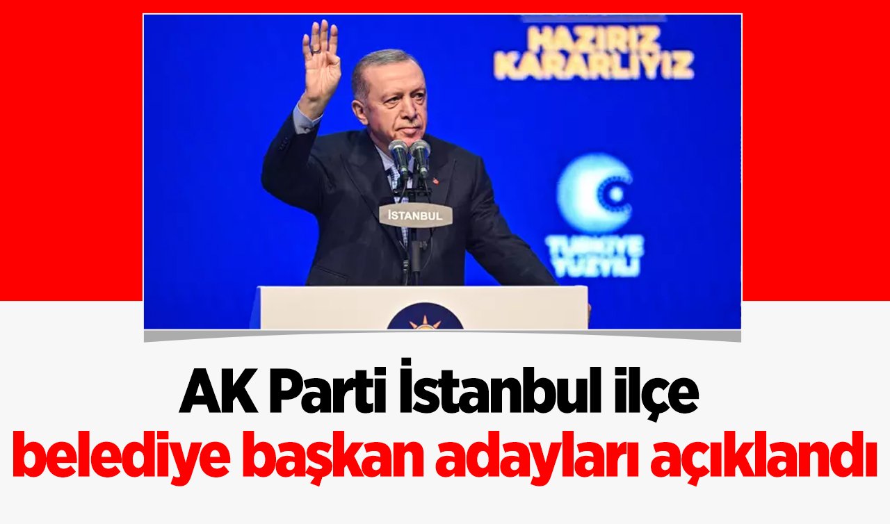  Erdoğan İstanbul ilçe belediye başkan adaylarını açıkladı