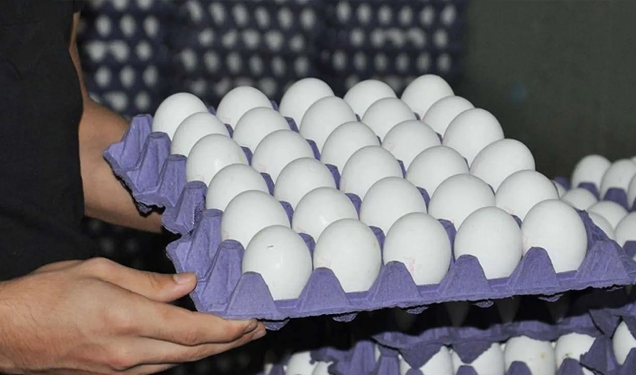  Konya’nın bu marketi yumurtada indirim yaptı! 30 L boy yumurta 84.95 TL,Çaykur 1 kg 129.95 TL, Zeytin 89.95 TL