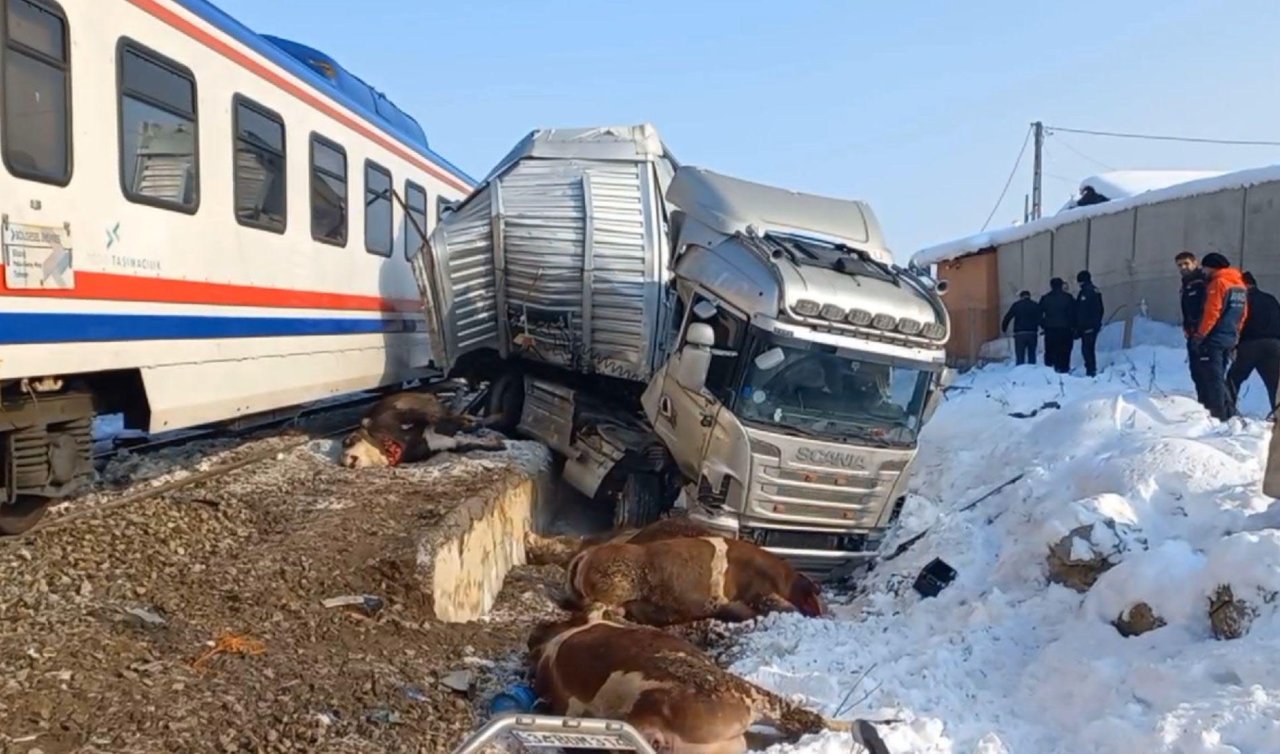  Boğa yüklü tıra tren çarptı! Korkunç kazanın görüntüleri ortaya çıktı