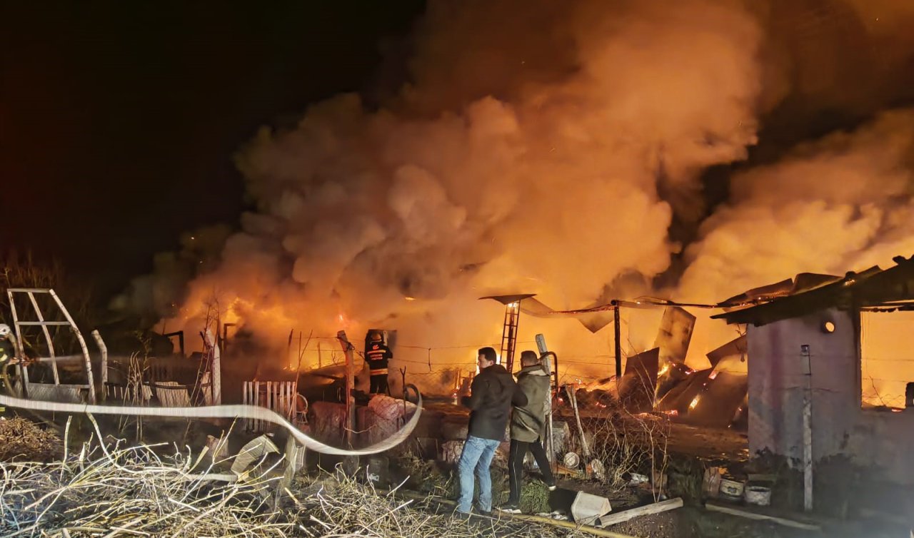  Ahırda açık unutulan lamba patlayınca yangın çıktı; 63 küçükbaş öldü