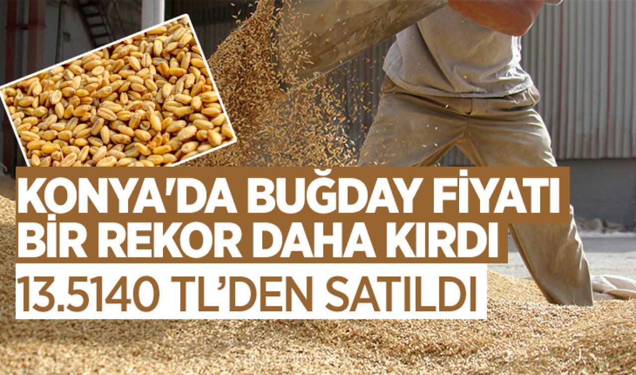  Konya’da buğday fiyatı bir rekor daha kırdı! 13.5140 TL’den satıldı