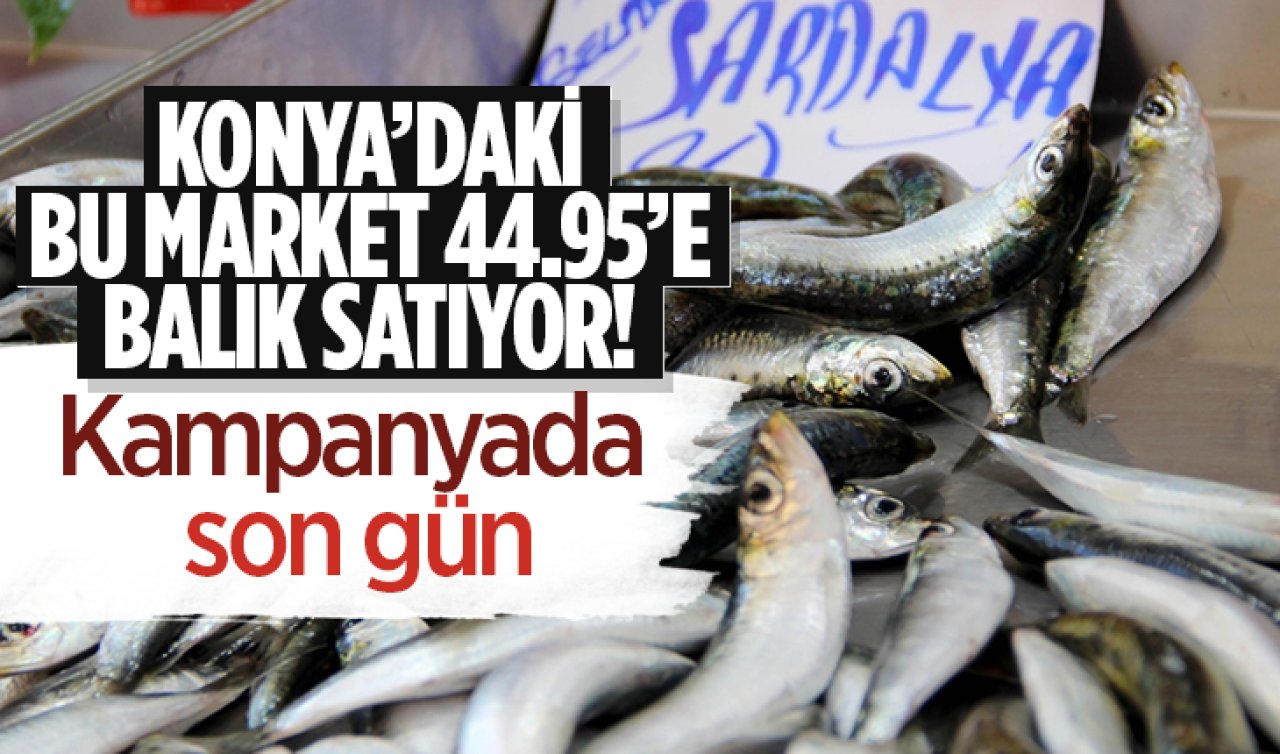  Konya’daki bu market 44,95 TL’ye balık satıyor! Kampanyada son gün