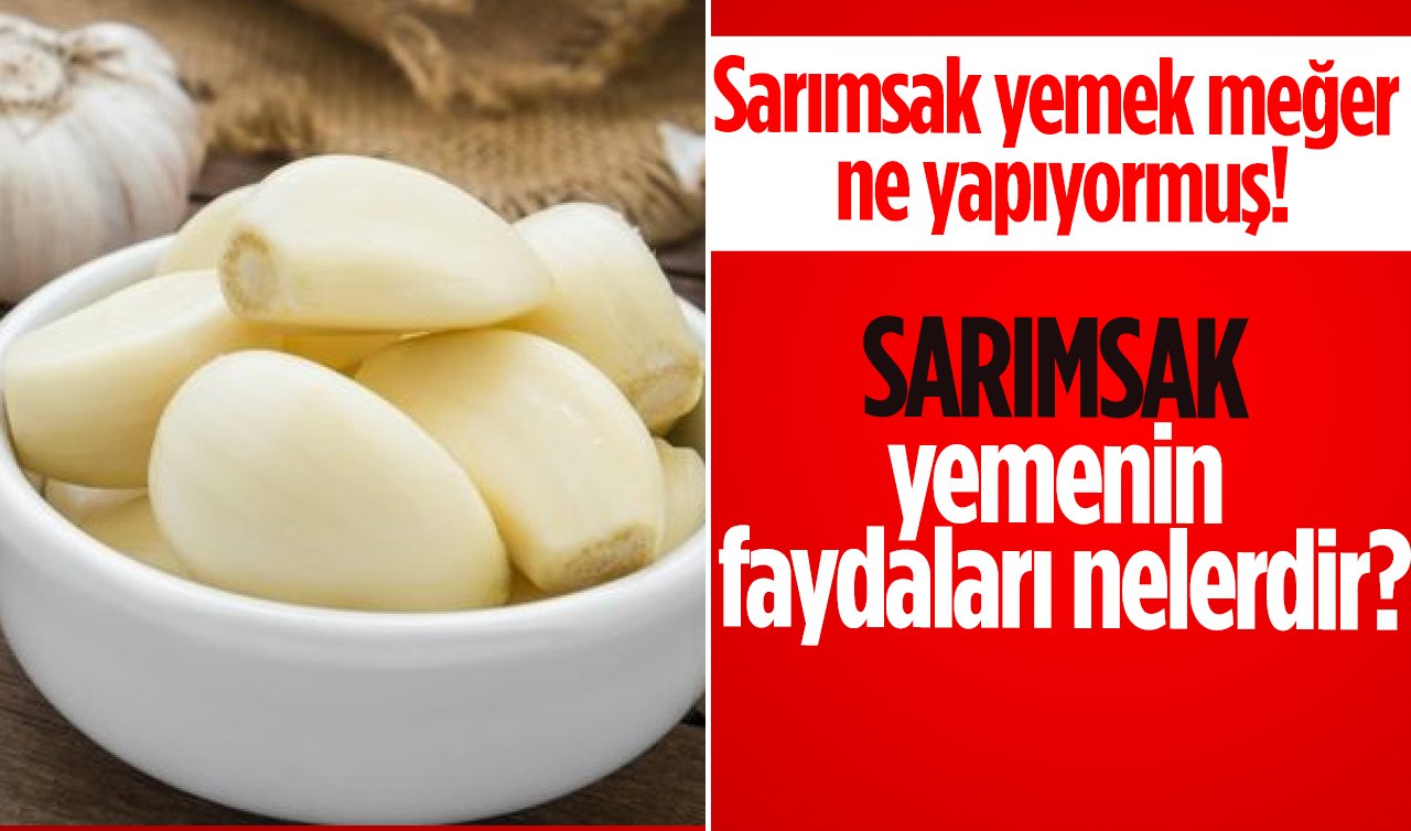  Sarımsak yemek meğer ne yapıyormuş! Sarımsak yemenin faydaları nelerdir?