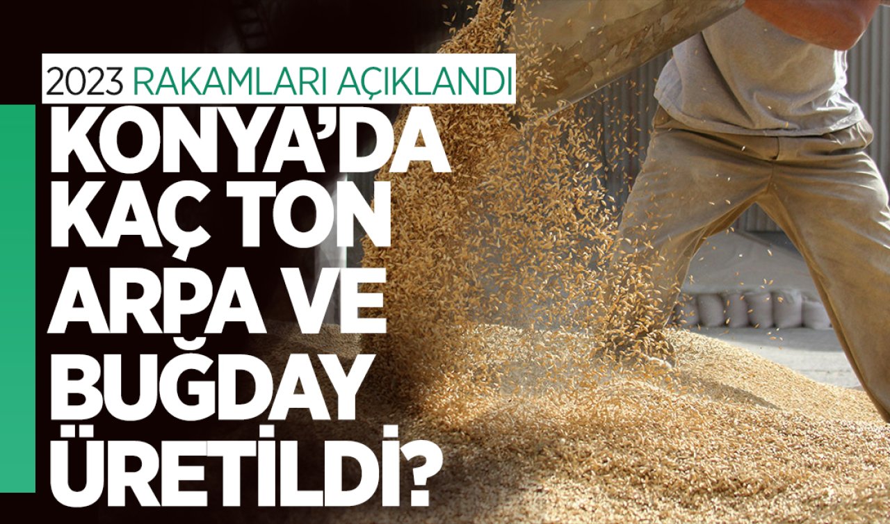  Konya’da kaç ton buğday ve arpa üretildi? 2023 rakamları açıklandı