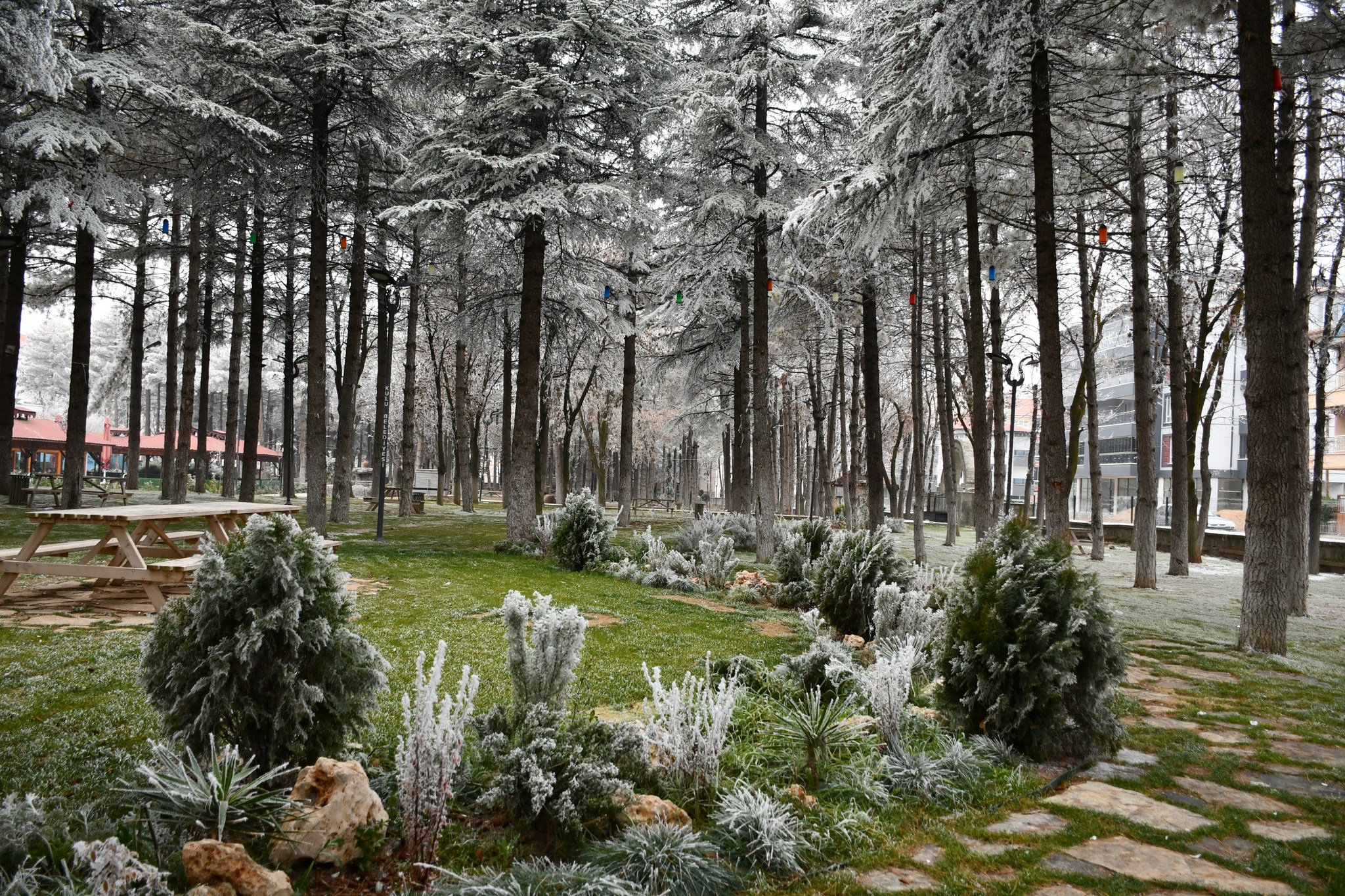 Konya Kulu ilçesi