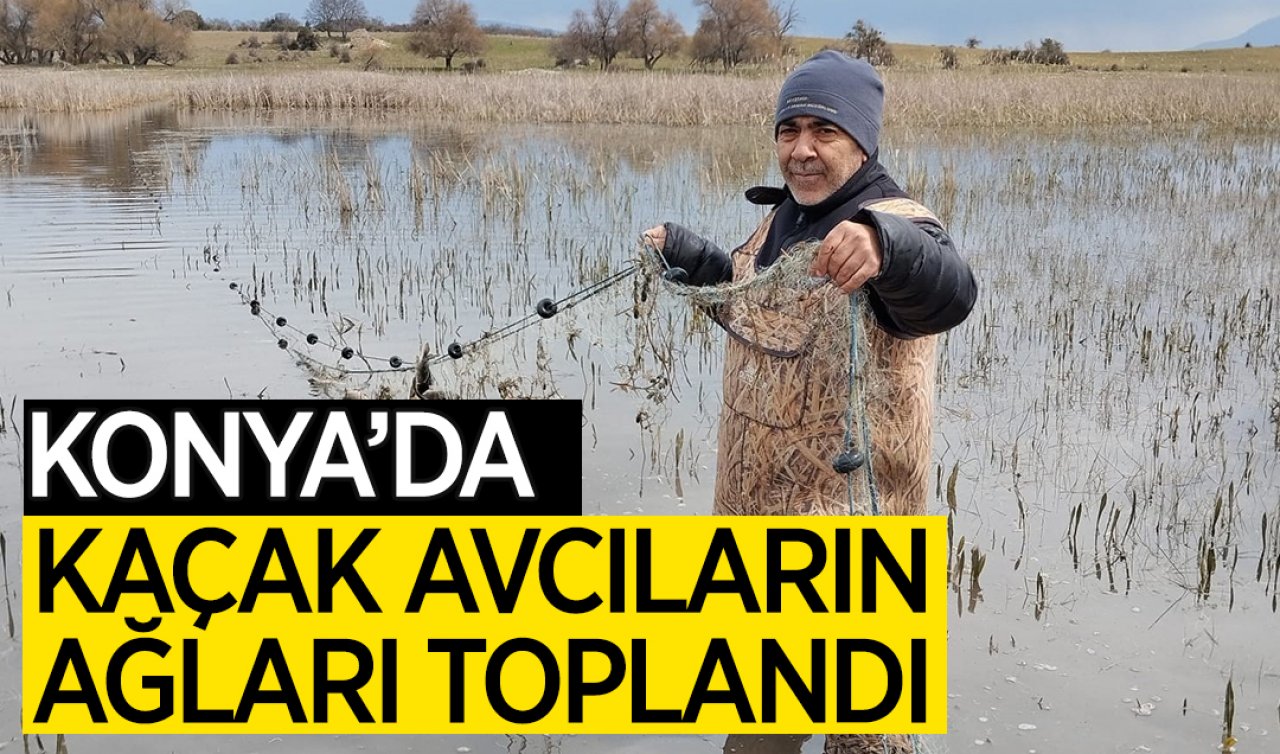  Konya’da kaçak avcıların ağları toplandı!