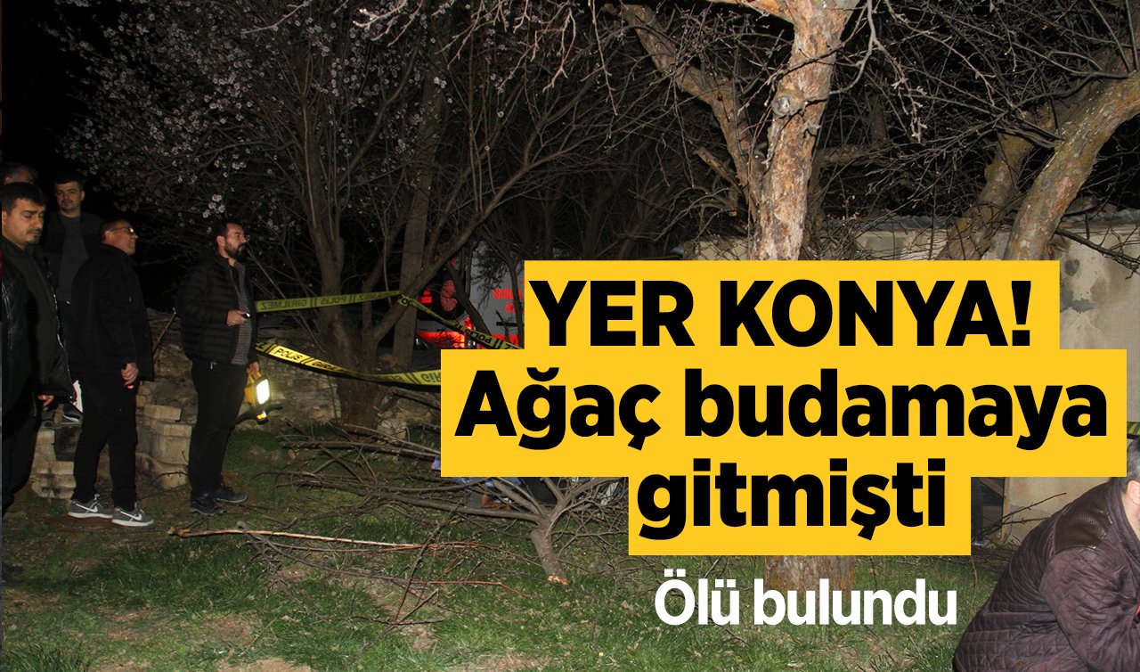  YER KONYA! Ağaç budamaya gitmişti: Ölü bulundu!