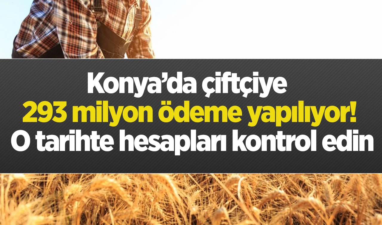  Konya’da çiftçiye 293 milyon ödeme yapılıyor! O tarihte hesapları kontrol edin