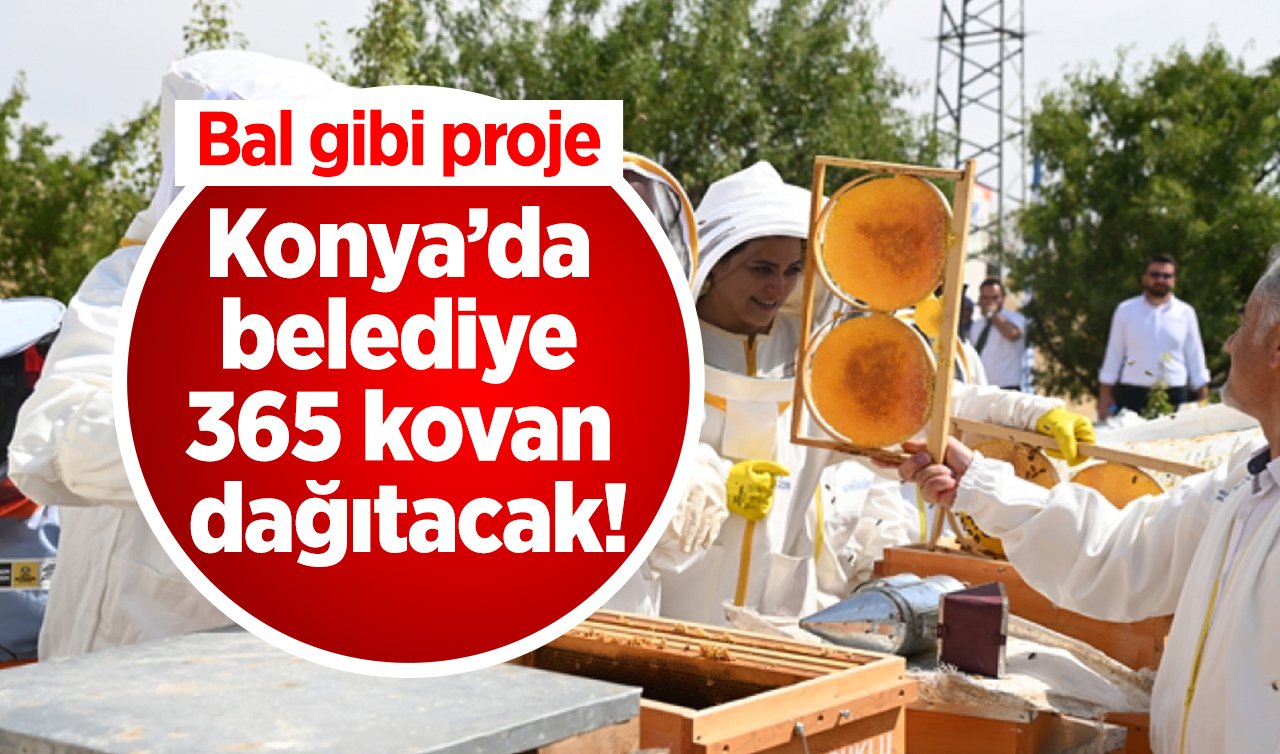  Konya’da belediye 365 adet arılı kovan dağıtacak! Bal gibi proje