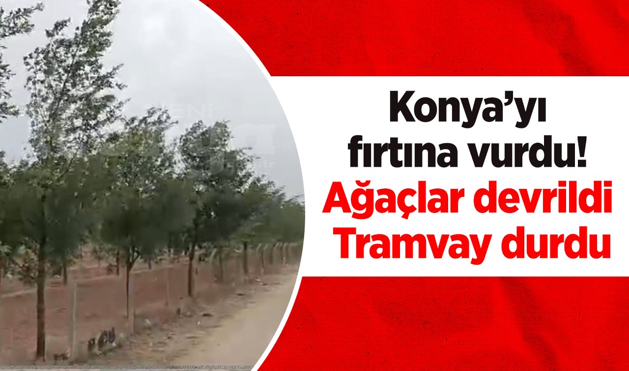 Konya’yı fırtına vurdu! Ağaçlar devrildi tramvay durdu! 