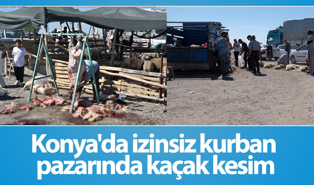 Konya’da izinsiz kurban pazarında kaçak kesim