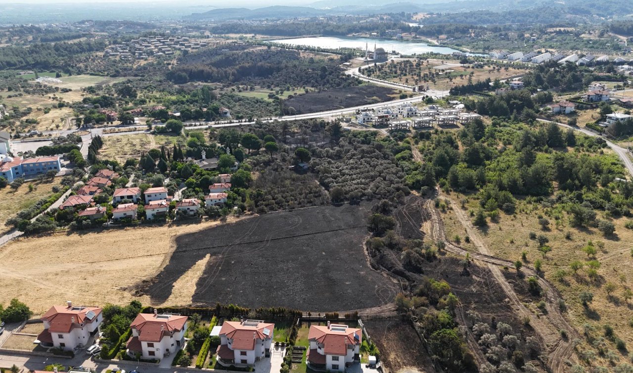  İzmir’deki yangın 4 saatte kontrol altına alındı: 15 hektar zeytinlik zarar gördü